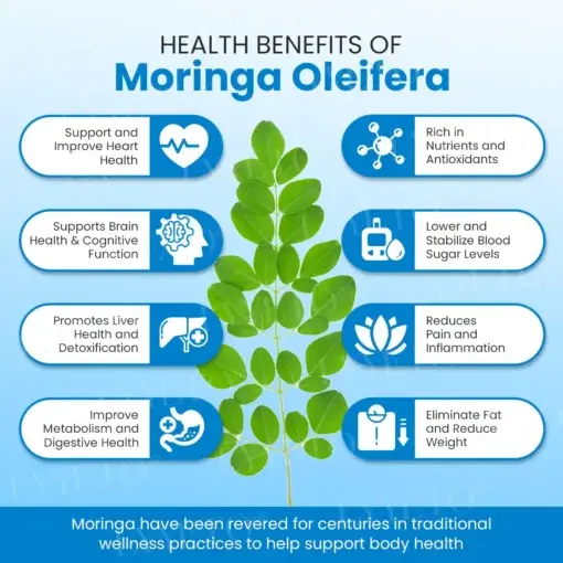 Lyyeto® GLP-1 Slimming & Health SlimFusion Vitality Core Pearls