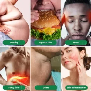 Lyyeto® Keto All-in-one Moringa NAD+ GLP-1