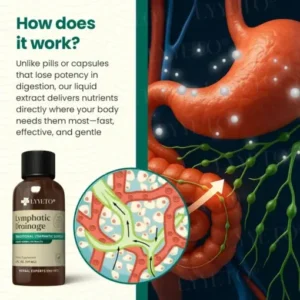 Lyyeto® Lymphatic Drainage with Liquid Herbal Extract