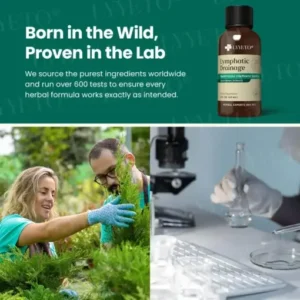 Lyyeto® Lymphatic Drainage with Liquid Herbal Extract