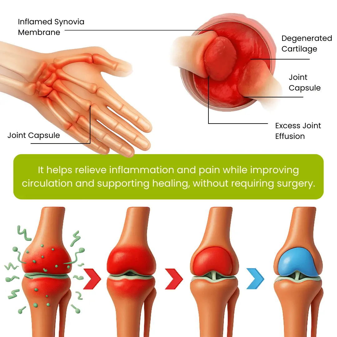 Lyyeto® Magnesium & Peppermint OsteoCare